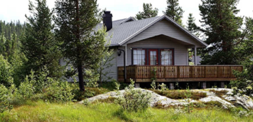 Dream Dwelling