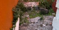 Casa para permacultura en Morelos