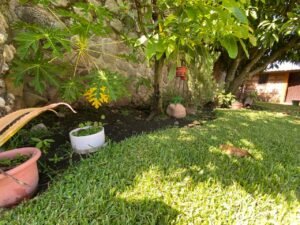 Parte sembrable en jardín de entrada – Casa en Burgos de Cuernavaca, Temixco