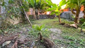 Tercer bloque para sembrar – Casa en Burgos de Cuernavaca, Temixco